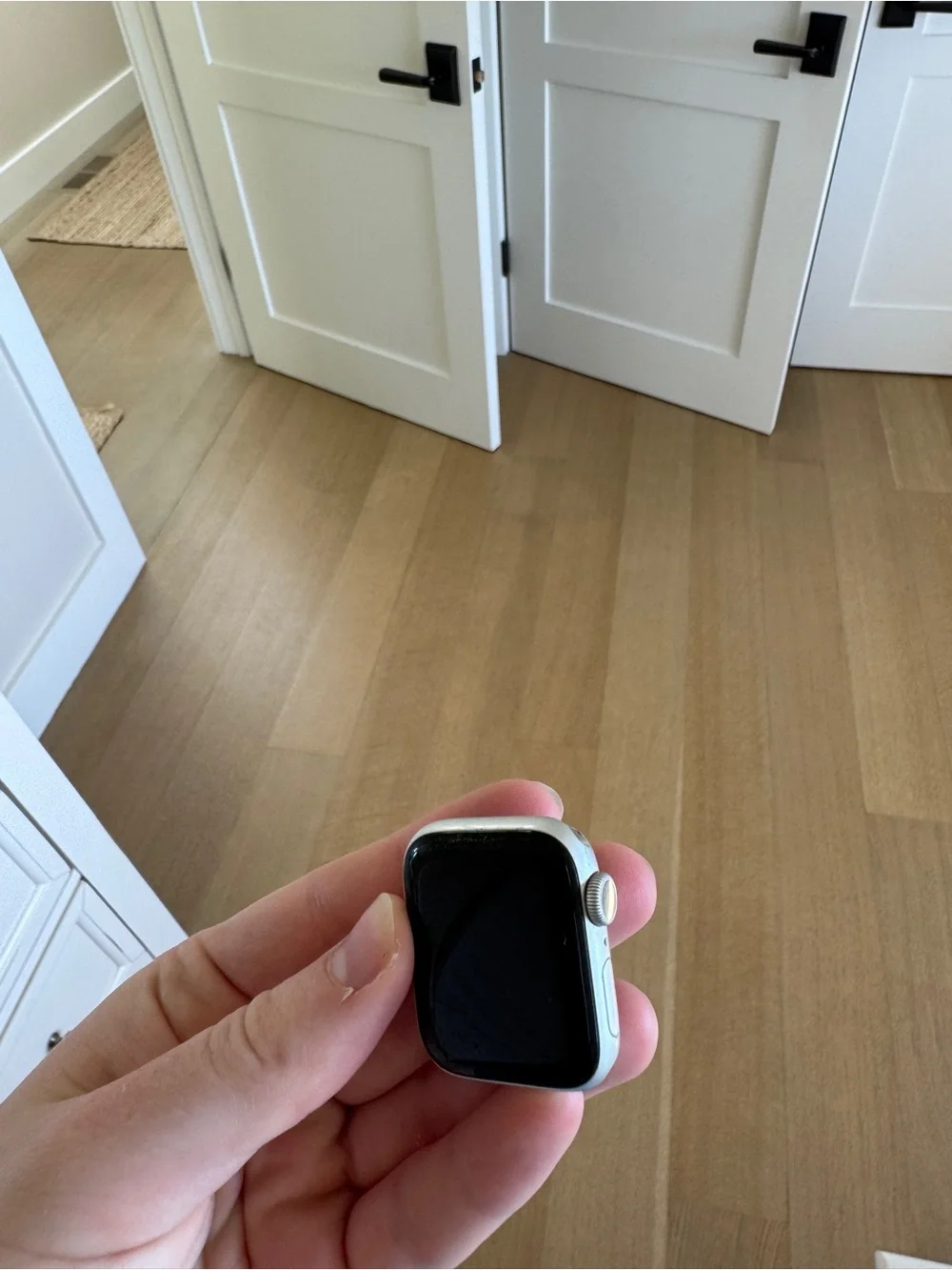 Apple Watch Series 6, 40mm, silver + Accessories